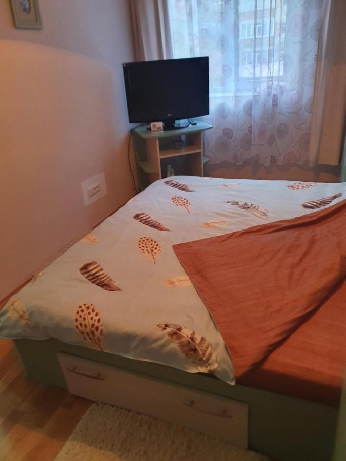 Apartament Cu Trei Camere Herkulesfürdő Kültér fotó